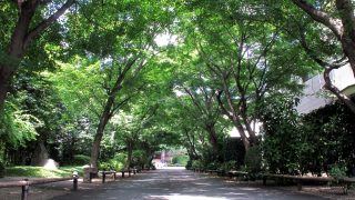 京都観光 こひろのブログ